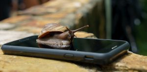 Are our phones really designed to slow down over time? Experts look at the evidence