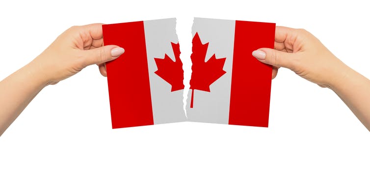 Two hands ripped a Canadian flag in half