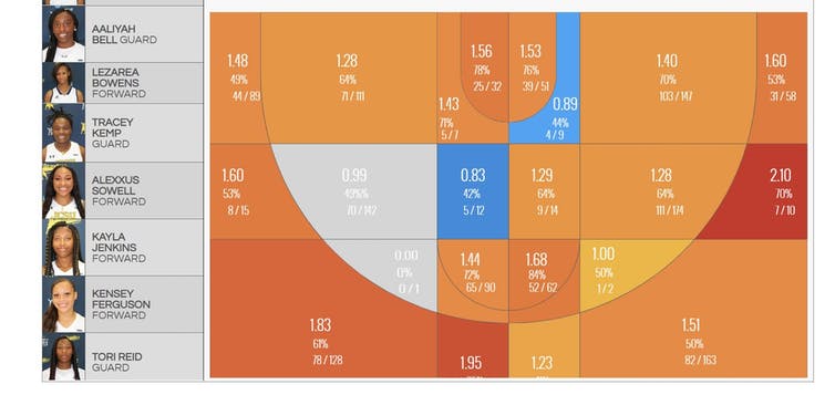 A data graphic of a basketball court.