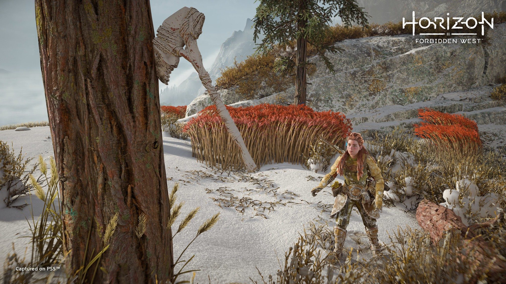 Uncovering Easter Eggs in the Forbidden West