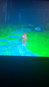 Stray (2022) Gameplay