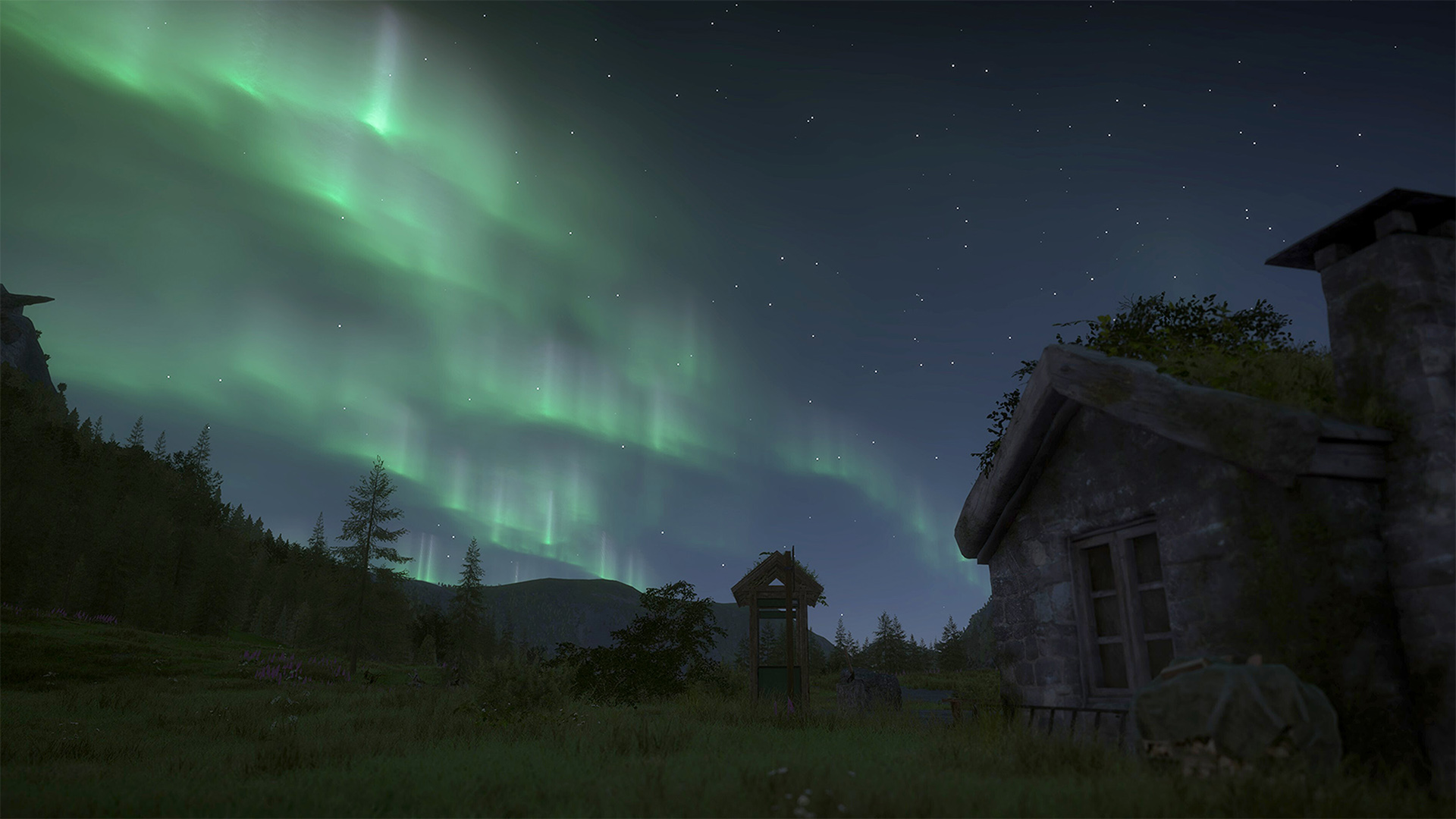 Northern lights