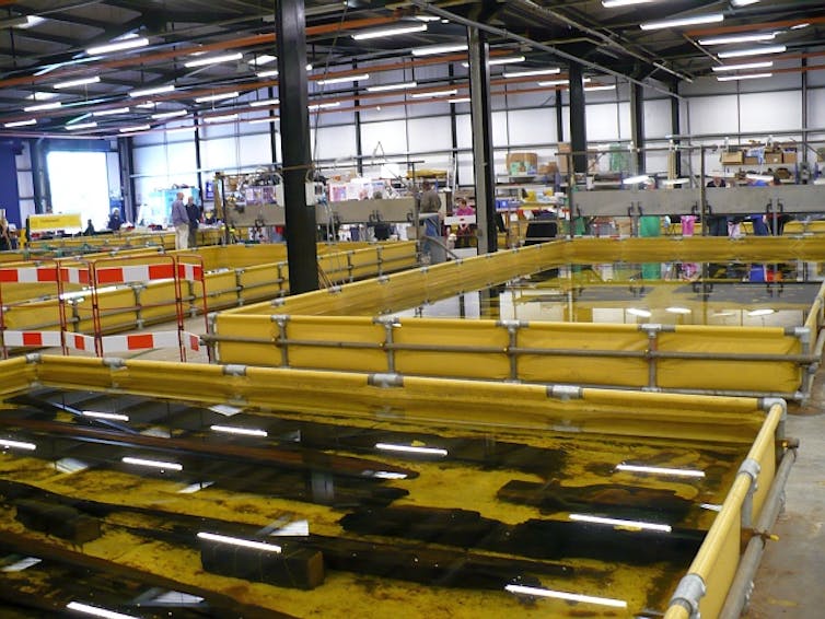 Planks of wood lie in water within large but shallow yellow baths inside a big warehouse.